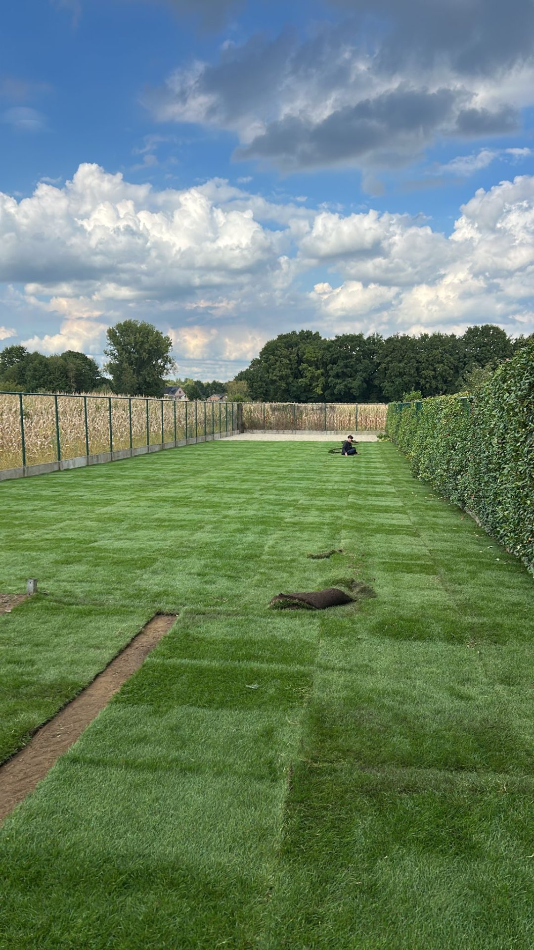 Rolgazon in grote tuin